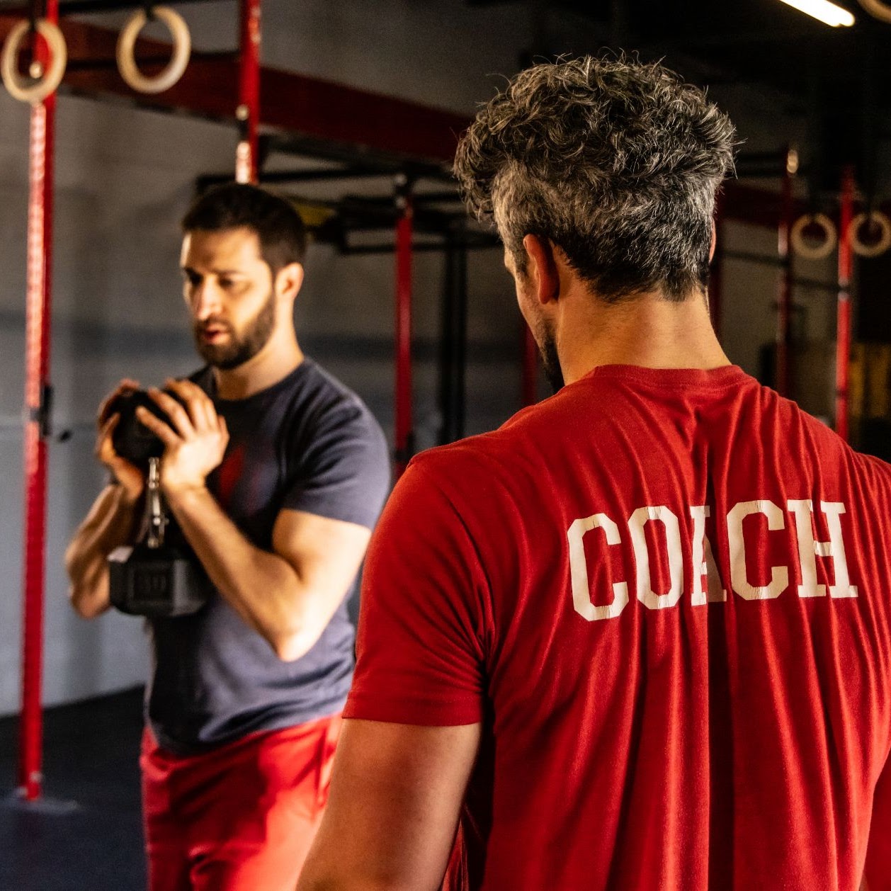 The Hive Chiropractic — philosophy of health